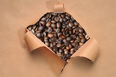 Development: Coffee Bean, Picture Nr. 57319