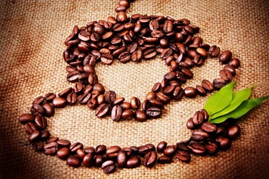 Food And Drink   Page 98