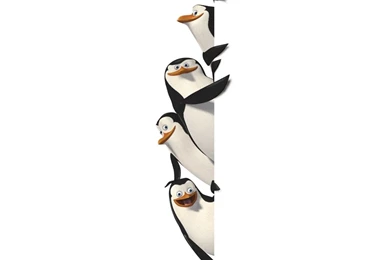 PENGUINS OF MADAGASCAR Animation Comedy Adventure Family Penguin ...