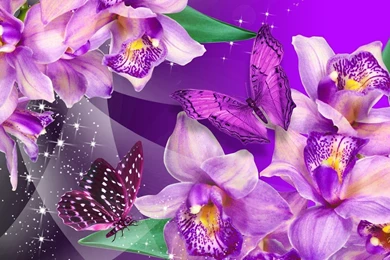 HQ DESKTOP WALLPAPERS: Purple Wallpapers And HD Backgrounds