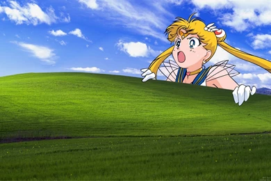 Sailor Moon Backgrounds