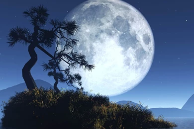 Moon+Fantasy+Wallpapers.jpg