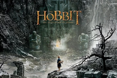 The Hobbit: The Desolation Of Smaug Wallpapers Movie Wallpapers ...