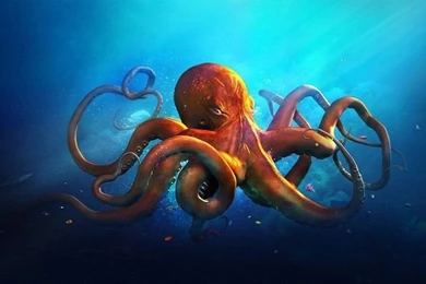 Underwater World Animals Octopus Ocean Sea Fantasy Artwork Art HD ...