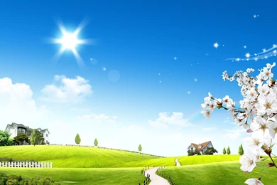 Bright Sun Glow Wallpapers