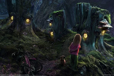 Girl In The Forest Wallpapers