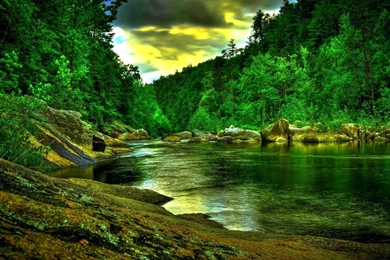 Beautiful green forest river hdr hd wallpaper 504172 download.jpg