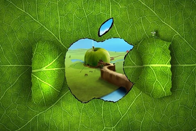 Green apple desktop wallpaper 1920x1080.jpg