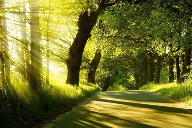 1920x1080 Hd Wallpapers Summer   Free Art Wallpaperz