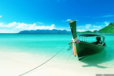 Summer Nature Wallpapers   Crazy Frankenstein