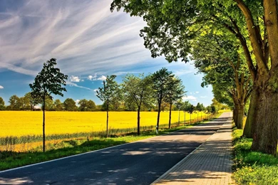 1920x1080 Summer Road Fields Wallpapers