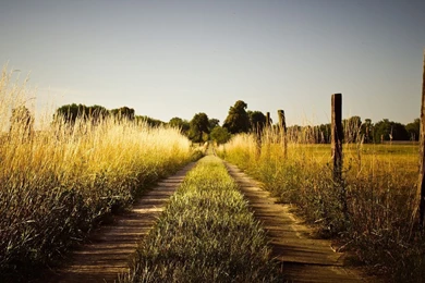 1920x1080 Summer Country Road Wallpapers