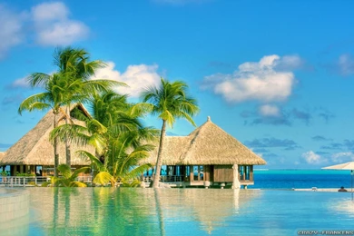 Beautiful Summer Wallpapers 3   Crazy Frankenstein