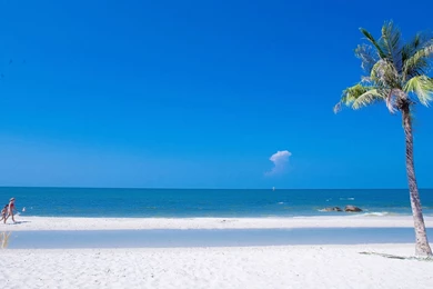 HD Quality Summer Beach HD Wallpapers 8 Widescreen   SiWallpapers 1798