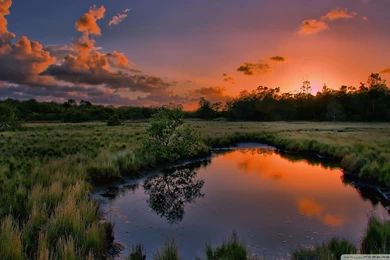 Sunset Summer Wallpapers 1920x1080   1527762