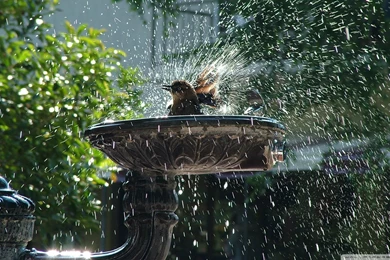 Hot Days Of Summer Wallpapers 1920x1080   1528919