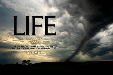 ACQYR Wallpaper 009_Holtz 1280x1024.jpg