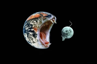 Funny Miscellaneous Wallpapers Crazy Frankenstein