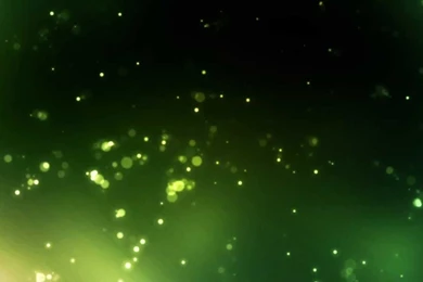 AmazonSwamp FREE Video Backgrounds Loops HD 1080p YouTube