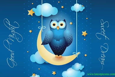 Good Night Wallpapers   Wallmanage.com