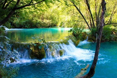 Plitvice Waterfalls 1459419