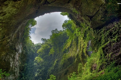 Jungle Cave Wallpapers Nature Wallpapers