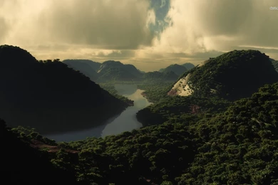 Jungle River Wallpapers   Nature Wallpapers