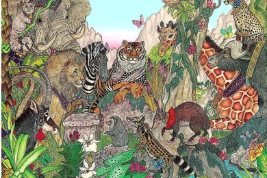 Jan Brett Desktop Wallpapers