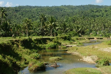 Top Jungle River Vegetation Images For Pinterest