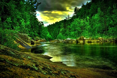 Jungle River HD Wallpapers & Backgrounds Nature HD Pics