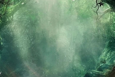 iPhone 4S, 4 Jungle Wallpapers HD, Desktop Backgrounds 640x960