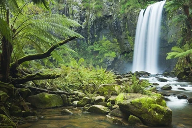 YouWall   Jungle Forest Waterfall Wallpapers   Wallpaper,wallpapers ...
