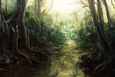 Jungle Wallpapers HD A8 Wallpapers