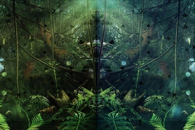 Jungle Computer Wallpapers, Desktop Backgrounds