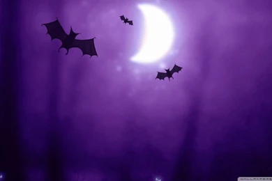 31 Spooky Halloween Desktop Wallpapers For 2014