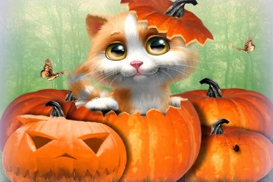 Cute Cat Halloween Desktop Backgrounds Hd Wallpapers   PowerballForLife