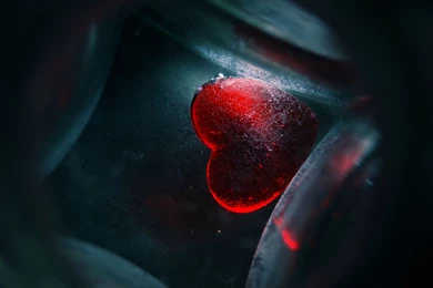 Love Heart Wallpapers