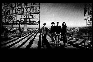 U2   U2 Wallpapers (65872)   Fanpop