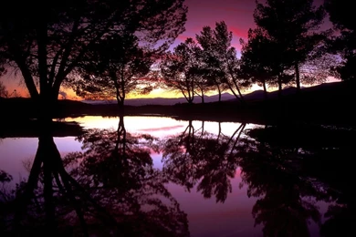 Backgrounds Desktop Wallpapers   370