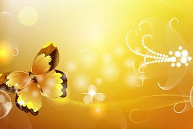 3d Vector Wallpapers