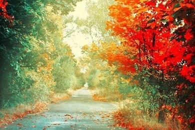 Just Sharing With U: Natural iPhone 5S WallPaper With 1136x640 ...