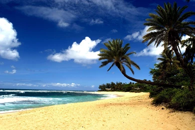 BEAUTIFUL HAWAII BEACH HD WALLPAPERS DF003