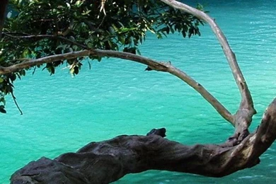 Wallpapers For Iphone 5 Iphone 4 Iphone 5 Iphone 5 Ios 7 Iphone ...