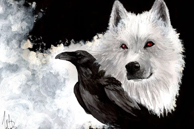 Download Wallpapers Game Of Thrones, Snow, Wolf, White, Eyes ...