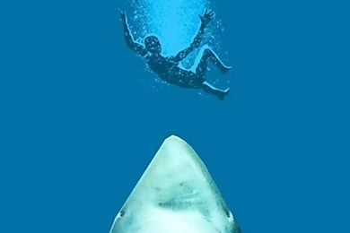 W A L L P A P E R S   On Pinterest