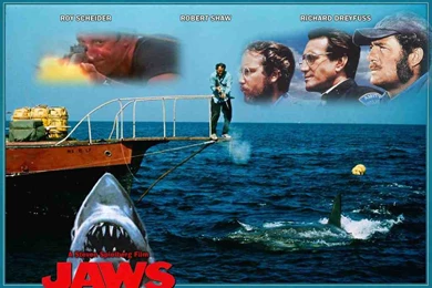 Jaws   Jaws Wallpapers (25399742)   Fanpop