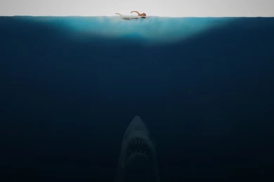 Shark Week Wallpapers   Imgur