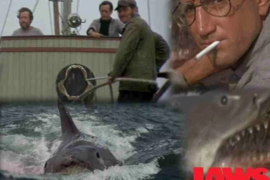 Jaws   Jaws Wallpapers (25400182)   Fanpop