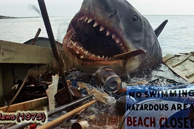Jaws 1975 Desktop Wallpapers