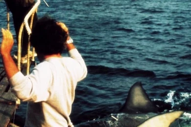 640x960 Vintage Cinema: Jaws Iphone 4 Wallpapers